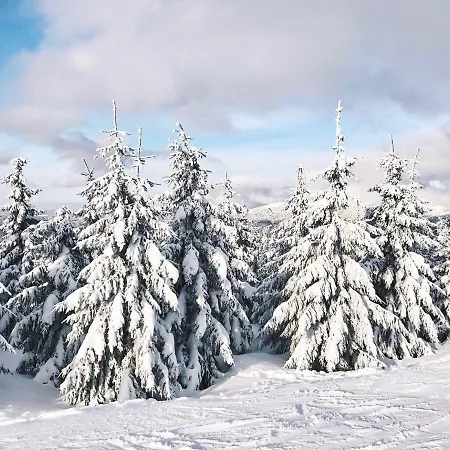 - شقة Špindlerŭv Mlýn