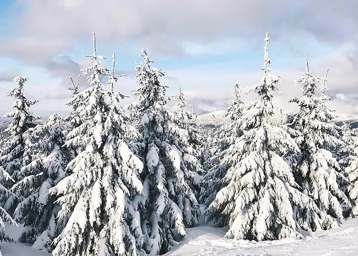 - Apartment Spindleruv Mlyn